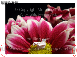 "Flower Nest" by Mui-Ling Teh