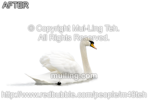 "Like a White Cloud" by Mui-Ling Teh with the background removed.