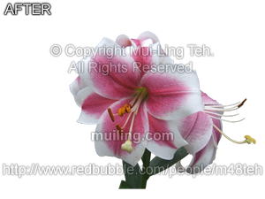 "Blooming Heart" by Mui-Ling Teh