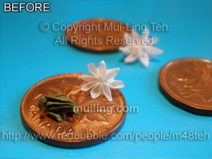 "Money Pond" by Mui-Ling Teh