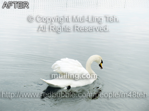 "A Pure Cleansing" by Mui-Ling Teh