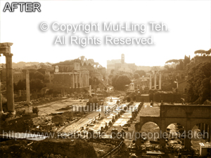 Edited version of "I should have kept running, but Wonderland was so stunning." by Mui-Ling Teh