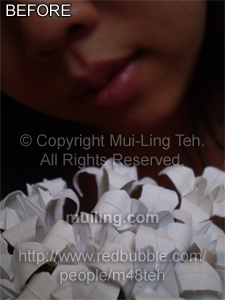 Raw version of "Substitute for a silent mouth of sorrow" by Mui-Ling Teh