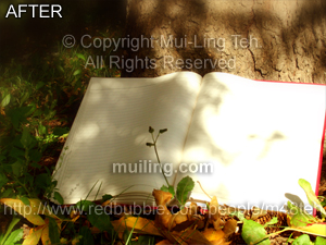 Edited version of "Where stories are born" by Mui-Ling Teh