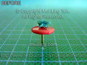 "Toadstool" by Mui-Ling Teh