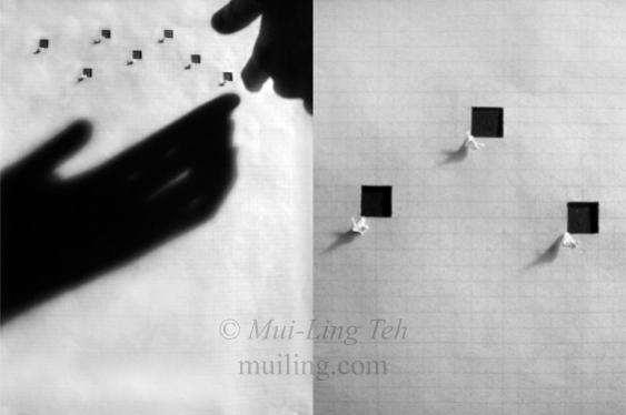 "Freedom" by Mui-Ling Teh