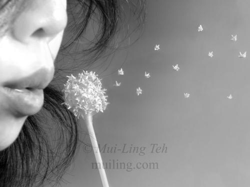 "Wish" by Mui-Ling Teh